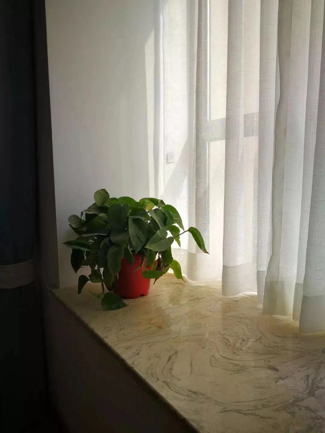   ʯʯ